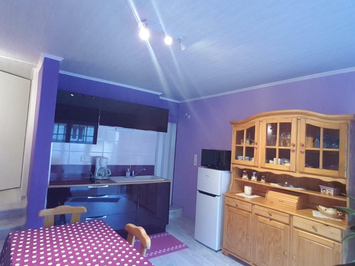 La Belle Endormie - Appartement A Fenetrange Εξωτερικό φωτογραφία